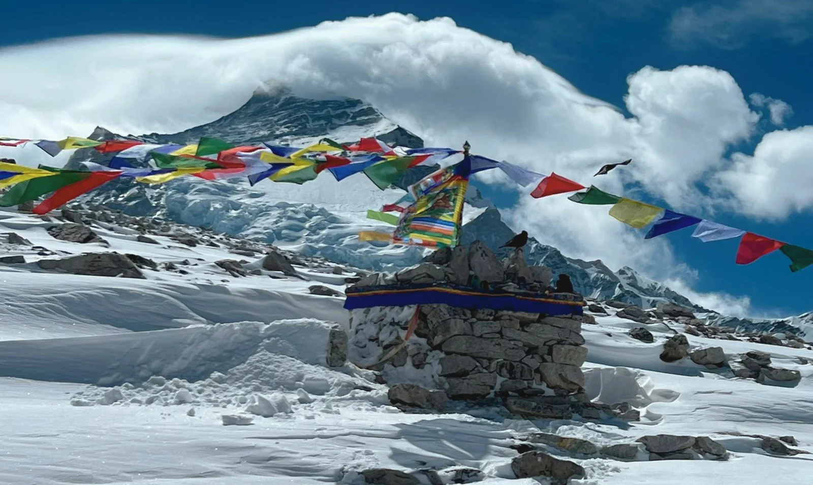 CHO OYU EXPEDITION